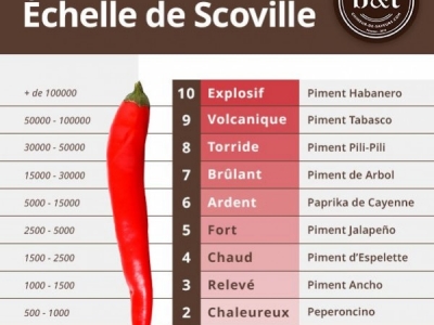 Comment utiliser l'échelle de Scoville pour choisir le piment parfait